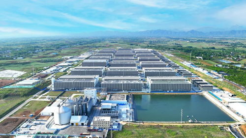 生豬產業勇闖關 探訪牧原股份宜昌軟件開發中心