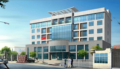 福建億源食品開發有限責任公司與宜昌軟件開發 數字化轉型驅動食品產業新未來